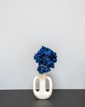 Hortensia Standard - Konserverade Blommor hortensia 12
