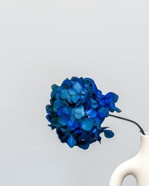 Hortensia Standard - Konserverade Blommor hortensia 14
