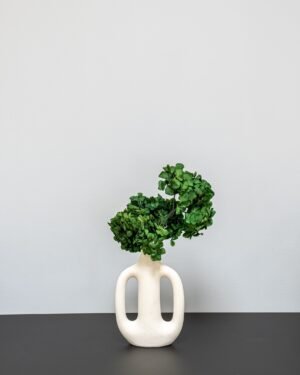 Hortensia Standard - Konserverade Blommor hortensia 16