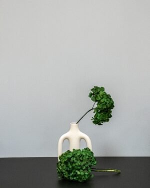 Hortensia Standard - Konserverade Blommor hortensia 19