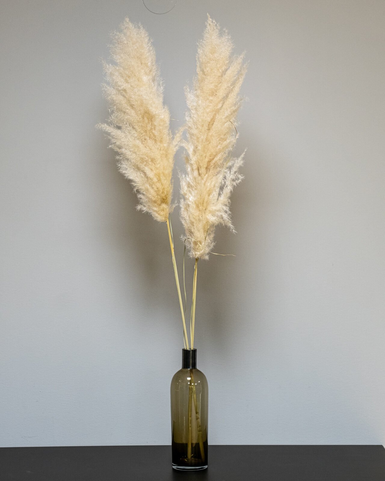 Stort fluffigt pampasgräs i en hög golvvas som skapar en lyxig och modern inredningsstil.