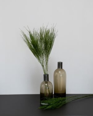 Tiki Fern - Konserverade Växter tiki fern 3