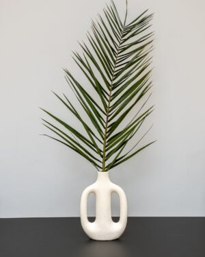 Phoenix Palm Grön - Konserverade Växter Konserverade Palm 1