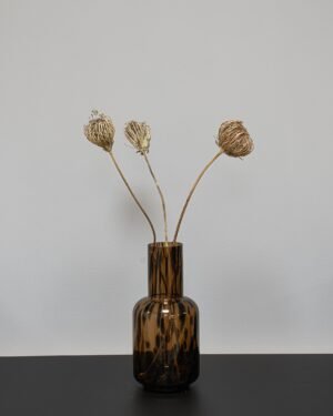 Ammi majus 5 st.- Slöjsilja - Torkade Blommor Ammi Majus 1