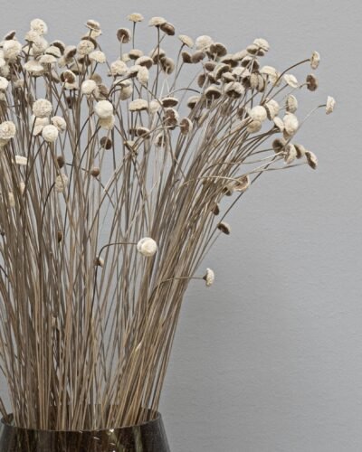 Alternative view of Botao - Torkade Blommor