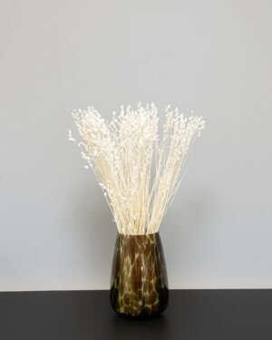 Briza - Torkade Blommor Briza 4