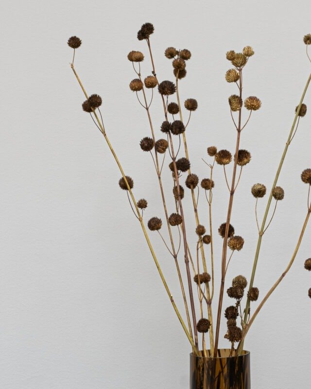 Alternative view of Callicarpa Naturell - Torkade Blommor