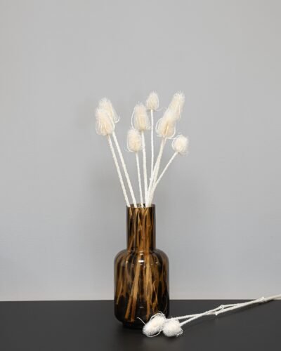 Cardoon Thistle - Torkade Blommor 10 Forever Flora