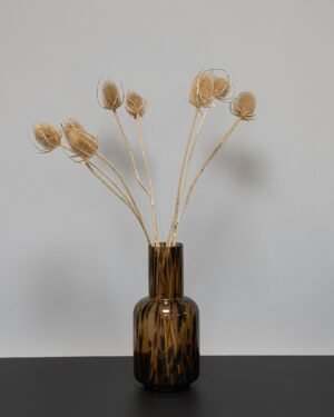 Cardoon Thistle - Torkade Blommor