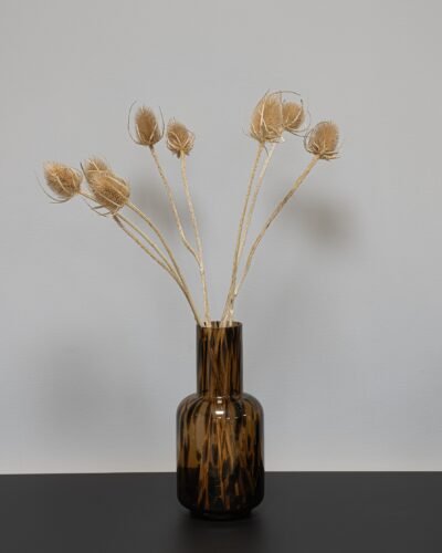 Cardoon Thistle - Torkade Blommor
