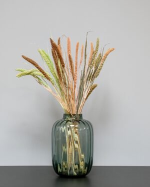 Durrasläktet, Sorghum Torkade Blommor Durraslaktet Sorghum mix 2