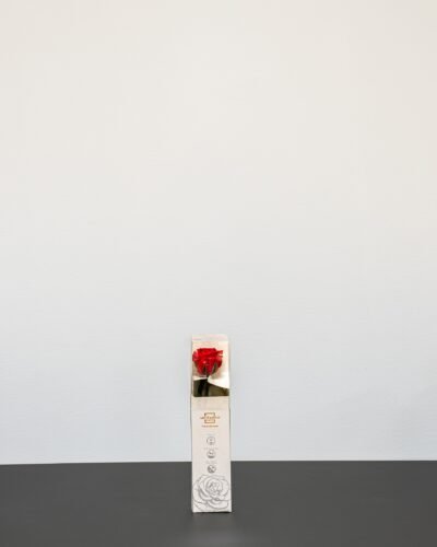 Alternative view of Evighetsros - 25 cm