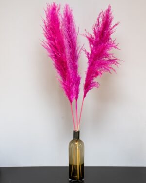 Fluffigt Pampasgräs Super – Imponerande Evighetsgräs (110–120 cm) 15 Fluffigt Pampasgräs Super – Imponerande Evighetsgräs (110–120 cm) Pampasgras 22