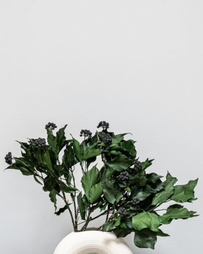 Forever Flora