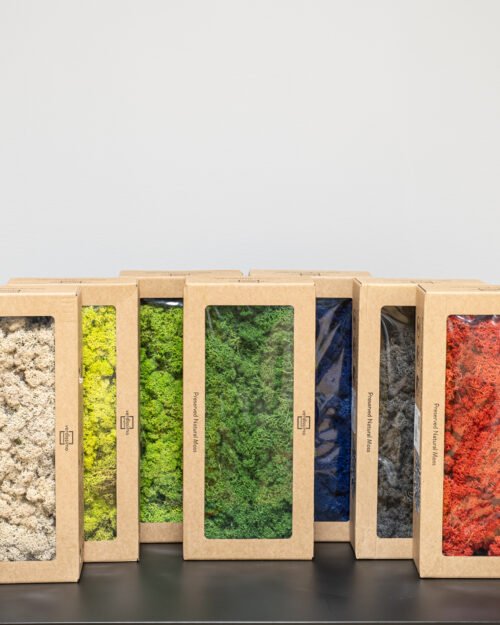 Reindeer mossa – Konserverade mossa