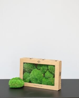 Bollmossa – Konserverade mossa Moss 26