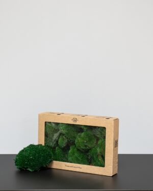 Bollmossa – Konserverade mossa Moss 29
