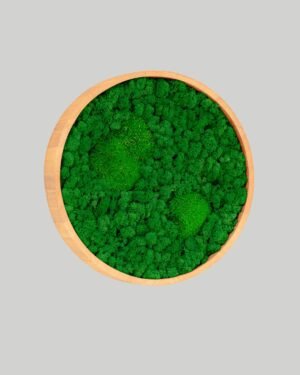 Runda mosstavla - Grön bollmossa & Lichen mossa 1