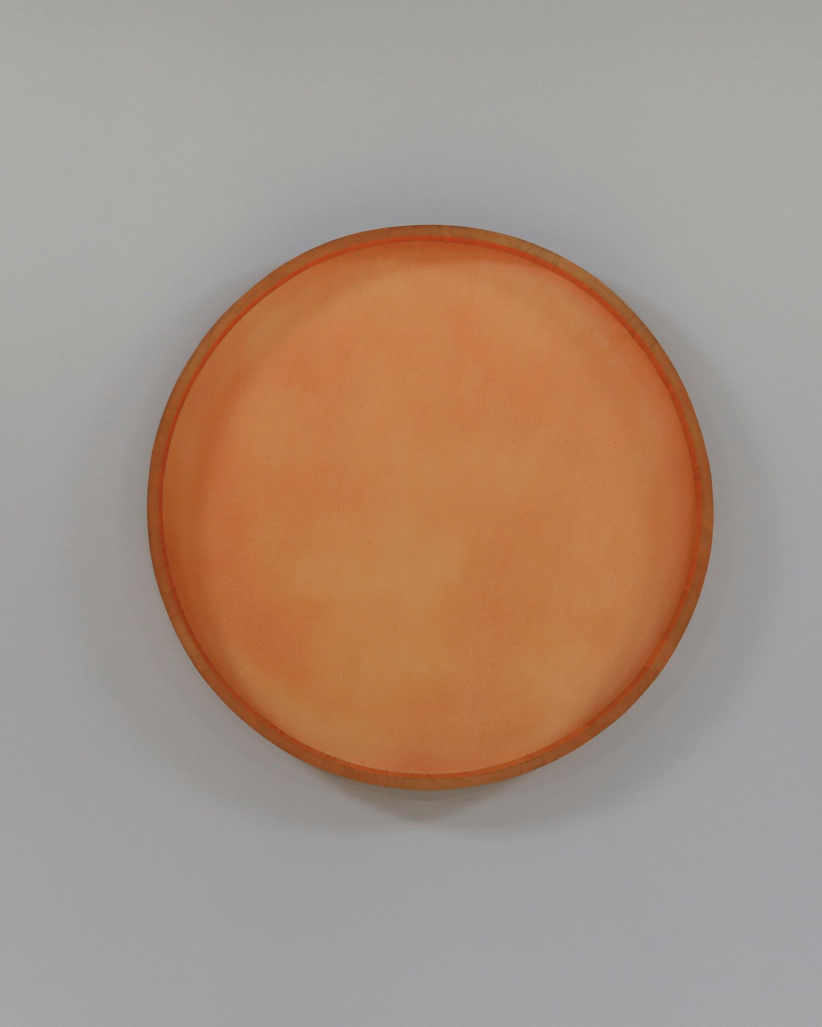 Rund mosstavla med äkta plattmossa - Växtvägg 6 Rund mosstavla med äkta plattmossa - Växtvägg - Bild 6