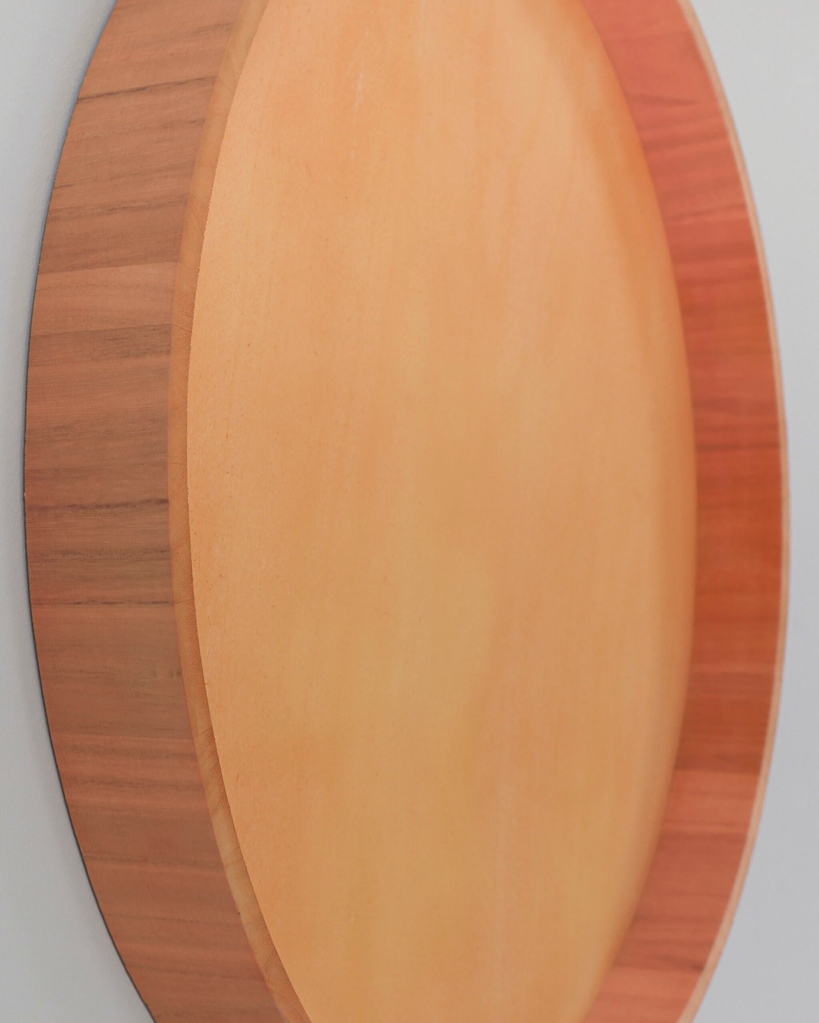 Rund mosstavla med äkta plattmossa - Växtvägg 5 Rund mosstavla med äkta plattmossa - Växtvägg - Bild 5