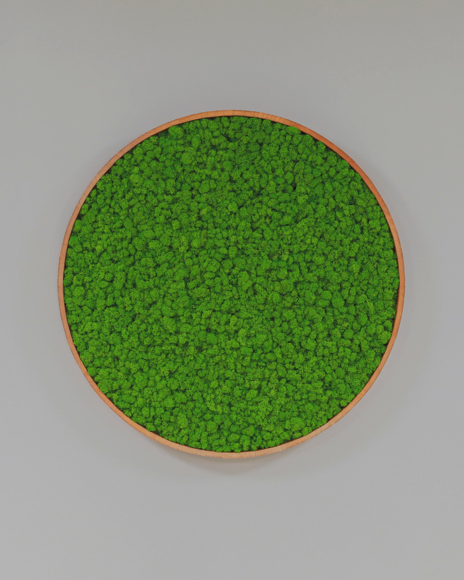 Rund Mosstavla med Äkta Finsk Renlav 7 Rund Mosstavla med Äkta Finsk Renlav - Bild 7