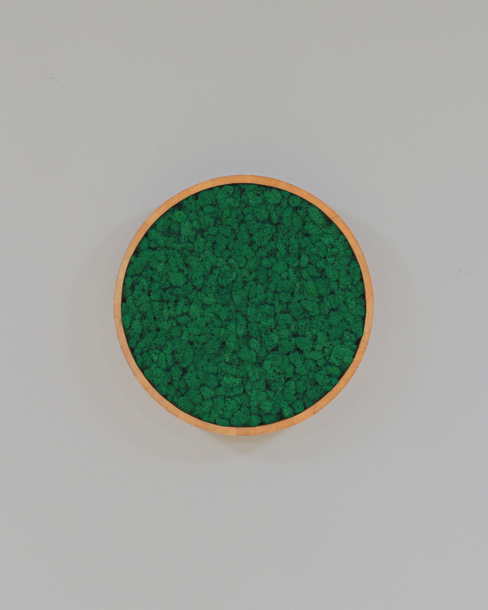 Rund Mosstavla med Äkta Finsk Renlav 17 Rund Mosstavla med Äkta Finsk Renlav - Bild 17