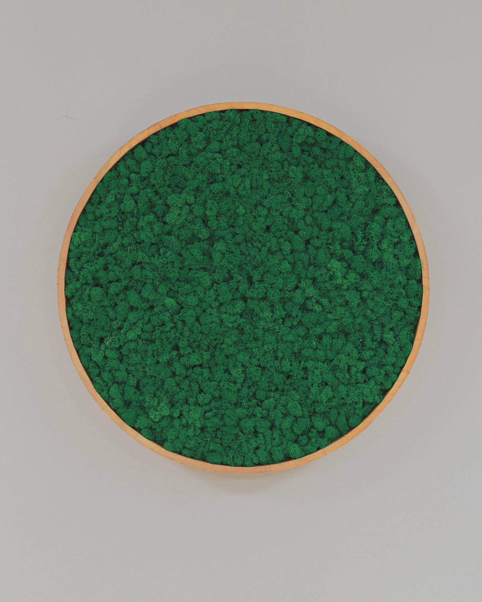 Rund Mosstavla med Äkta Finsk Renlav 16 Rund Mosstavla med Äkta Finsk Renlav - Bild 16