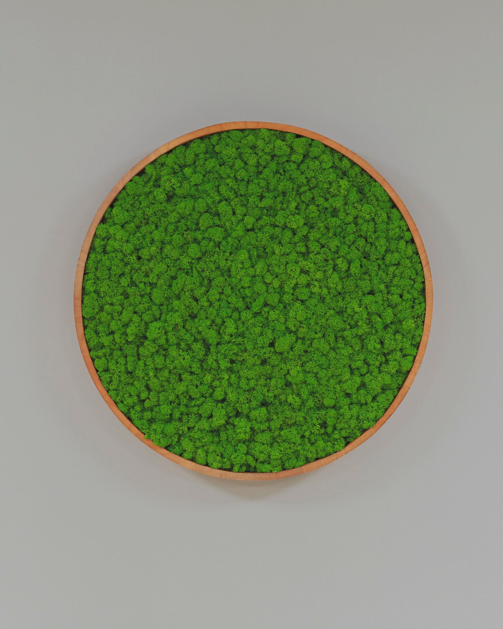 Rund Mosstavla med Äkta Finsk Renlav 14 Rund Mosstavla med Äkta Finsk Renlav - Bild 14