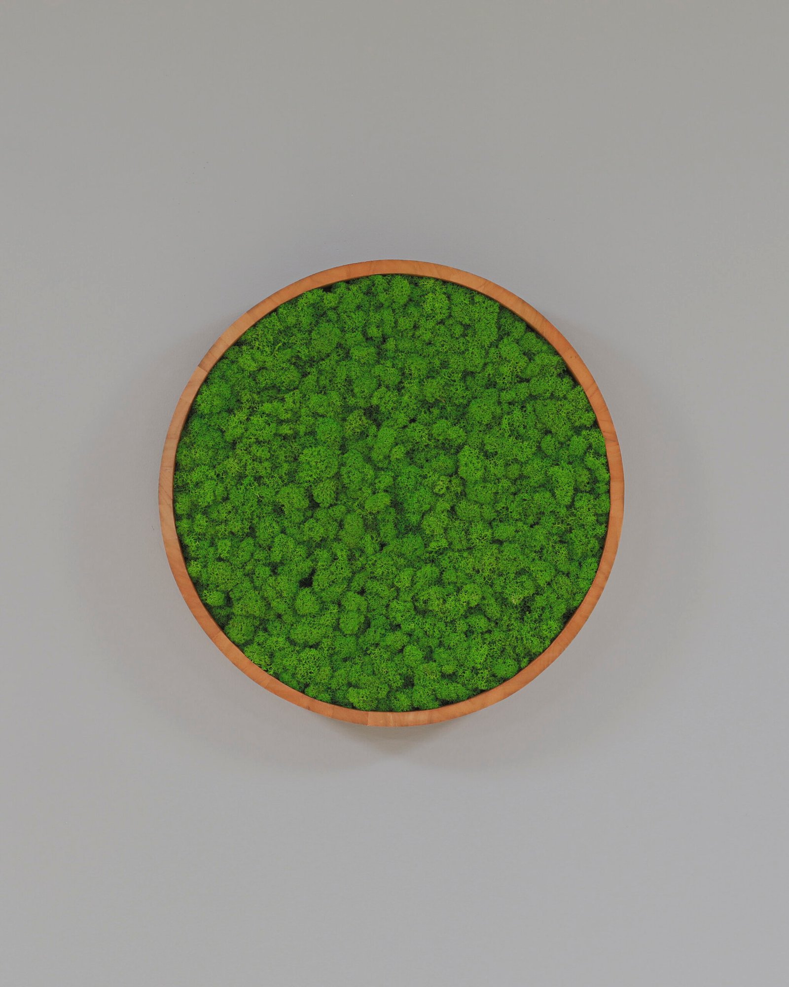 Rund Mosstavla med Äkta Finsk Renlav 13 Rund Mosstavla med Äkta Finsk Renlav - Bild 13