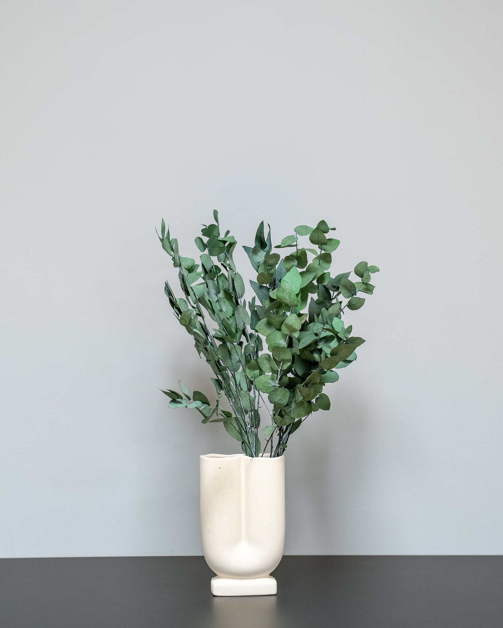 Eucalyptus Stuartiana - Konserverade Växter 7 Eucalyptus Stuartiana - Konserverade Växter - Bild 7