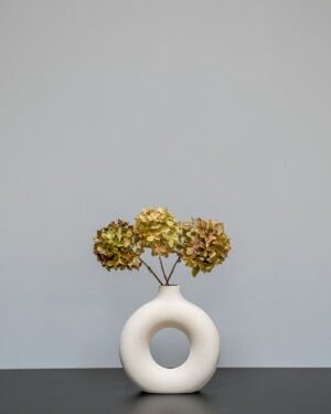 Hortensia naturell