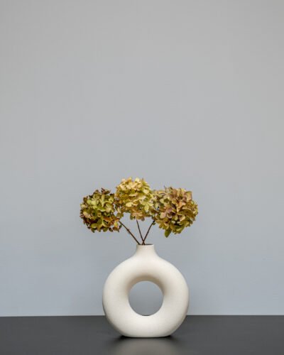 Hortensia naturell