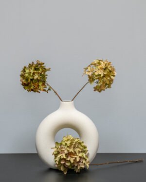 Hortensia Naturell 3 st. – Torkade Blommor Hortensia naturell 5