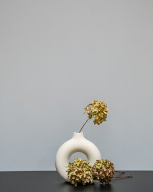 Hortensia Naturell 3 st. – Torkade Blommor Hortensia naturell 6