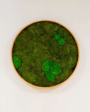 Alternative view of Mosstavla cirkel - Mix mossplatta & bollmossa- Växtvägg