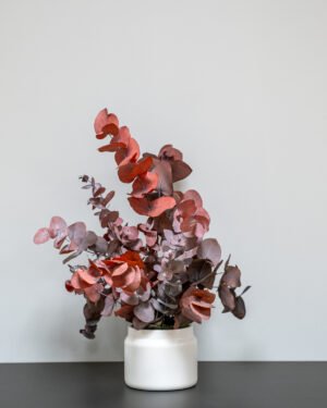Krukväxter Eucalyptus Cinerea konserverad krukvaxt 18