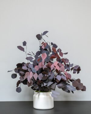 Krukväxter Eucalyptus Populus konserverad krukvaxt 22