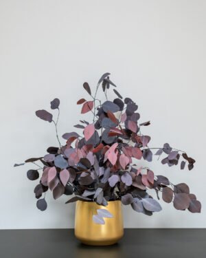 Krukväxter Eucalyptus Populus konserverad krukvaxt 24