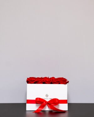 Evighetsros box