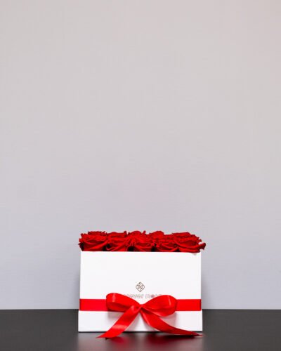 Evighetsros box