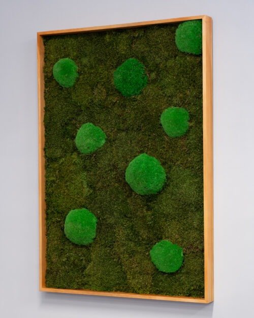 Kvadratisk Mosstavla - Mix Mossplatta & Bollmossa 6 Forever Flora