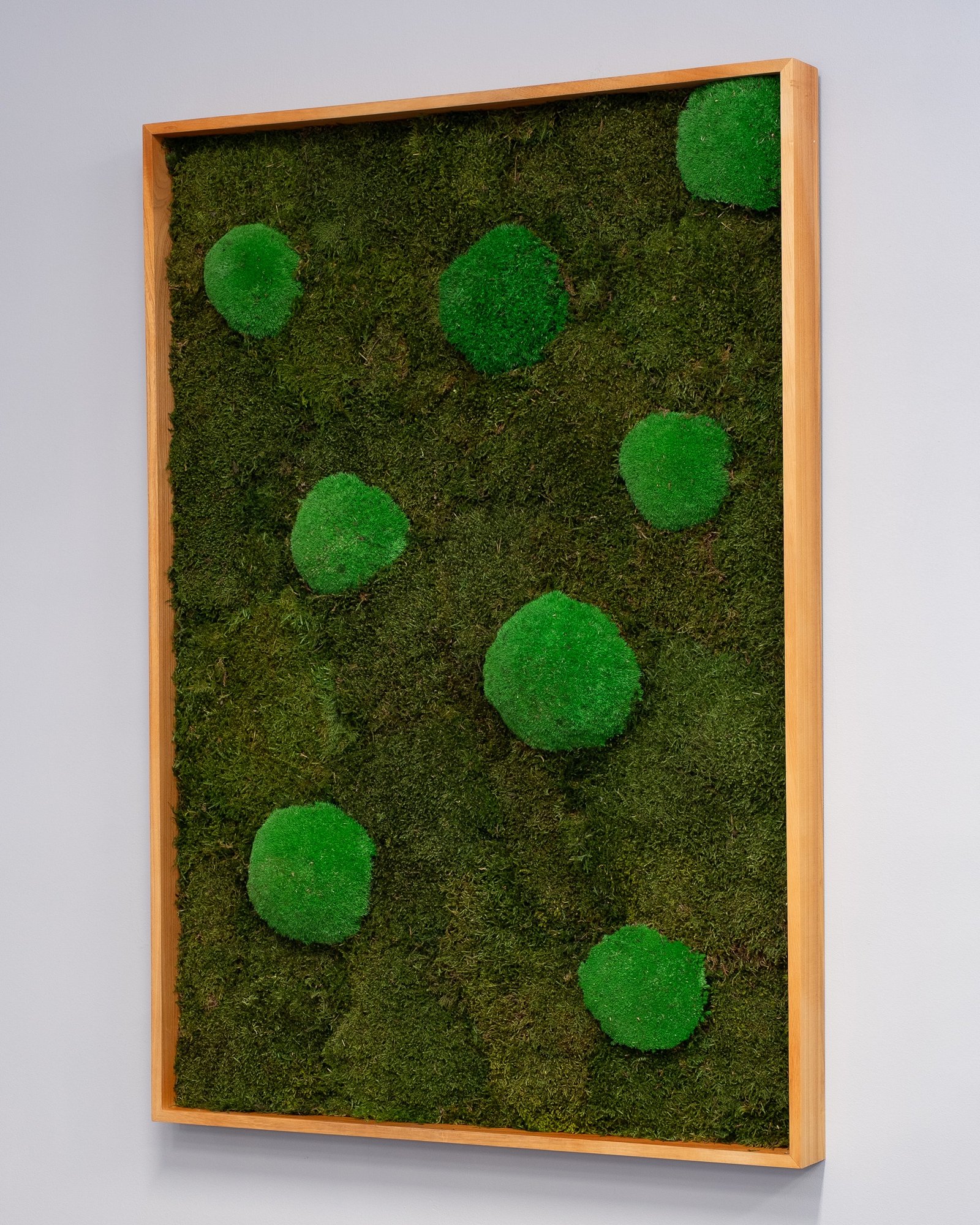 Kvadratisk Mosstavla - Mix Mossplatta & Bollmossa 3 Kvadratisk Mosstavla - Mix Mossplatta & Bollmossa - Bild 3