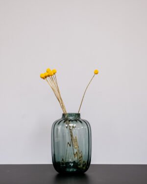 Craspedia/Solboll 10 st.- Torkade Blommor solbollar 3