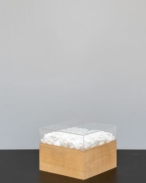 Evighetsros box