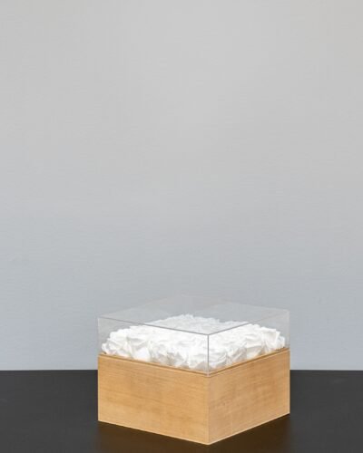 Evighetsros box