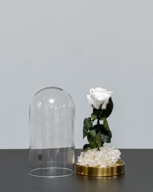 Roskupa - Evighetsrosor och konserverade hortensior Roskupa 14