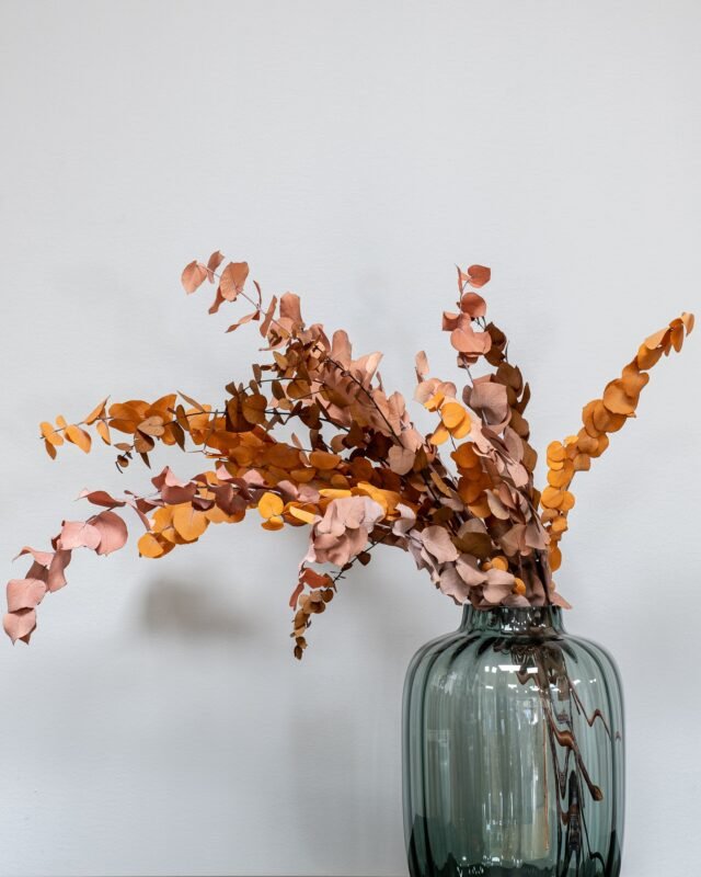 Introduktion till konserverade blommor och växter Stuartania host 2
