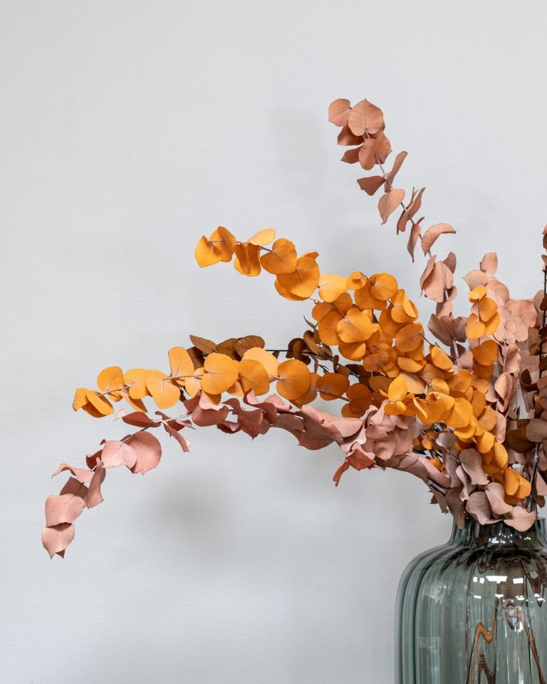 Alternative view of Eucalyptus Stuartiana - Konserverade Växter
