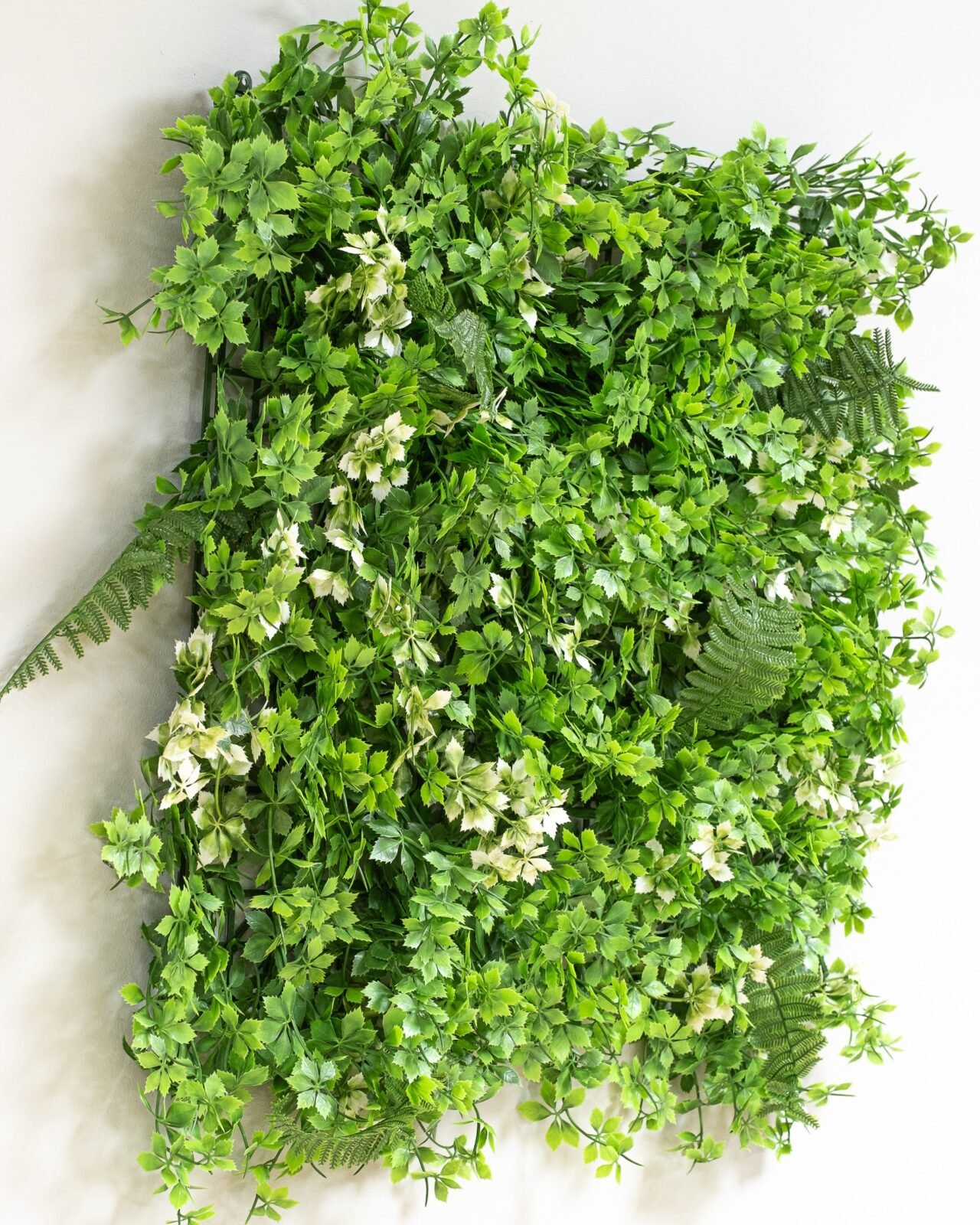 Forever Flora