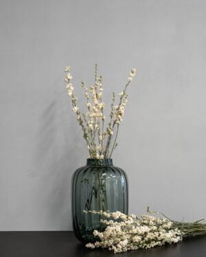 Torkade Delphinium – Riddarsporre Delphinium 3